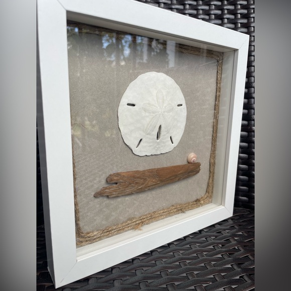 Sand Dollar, Shell, Wood.. Arranged In A ShadowBox - Picture 3 of 4